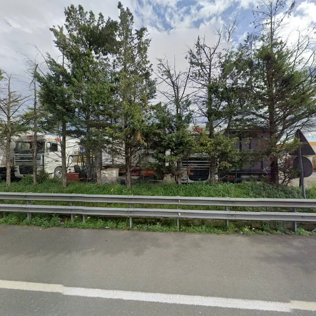 Bodegas Nieto maximum Bolado