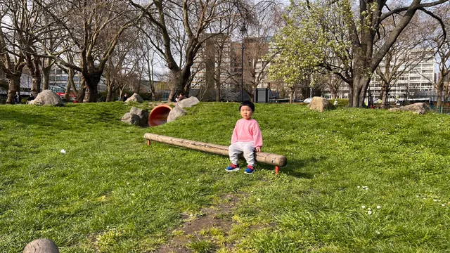Archbishop's Park Playground
