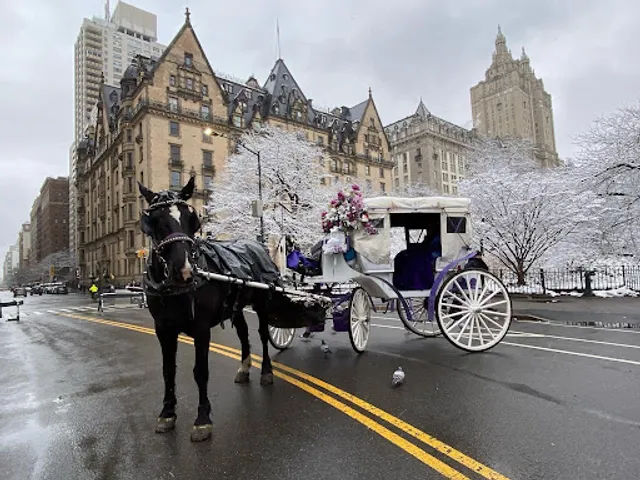 NYC Central Park Horse Carriage Rides since 1858