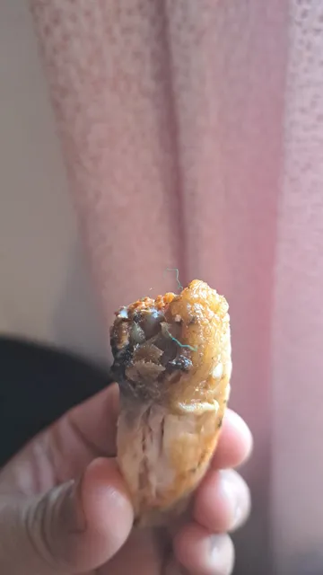 New York Roma Pizza Bird Road