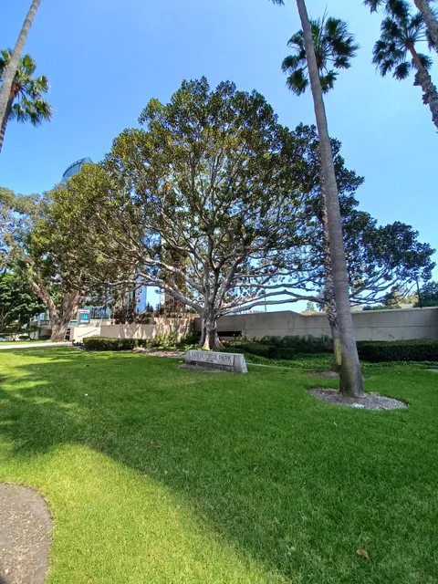 Santa Cruz Park
