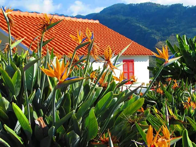 Casas Tipicas da Candelaria