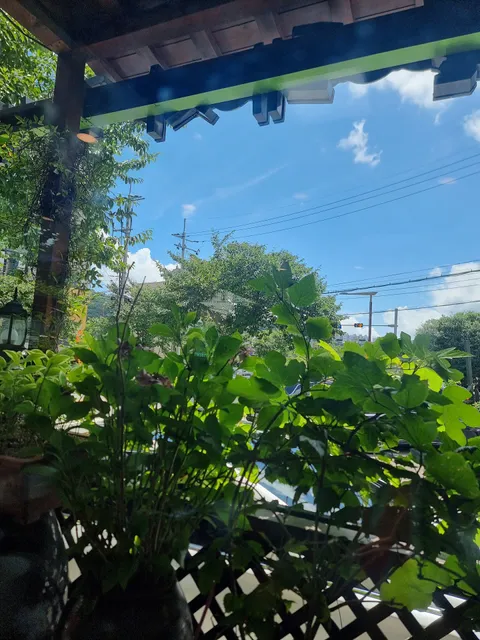 photo-3