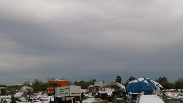 The Moose - Aransas Pass Lodge 2063