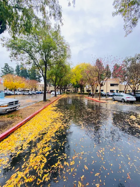 Fremont Professional Park