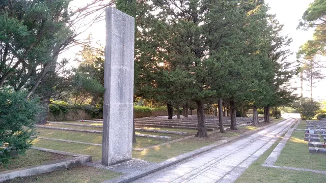 photo-1