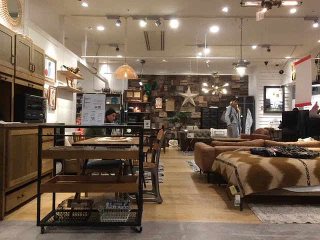 journal standard Furniture