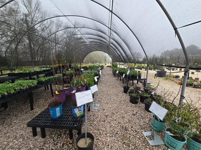 Deep Roots Nursery