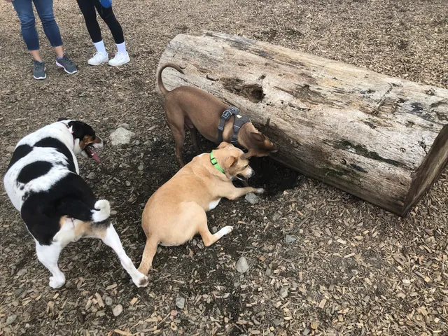 Eddie's Park at Middlesex Path