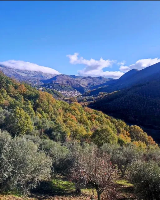 Azienda Agricola Àusono