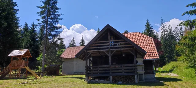 БРВНАРА ВИДИКОВАЦ