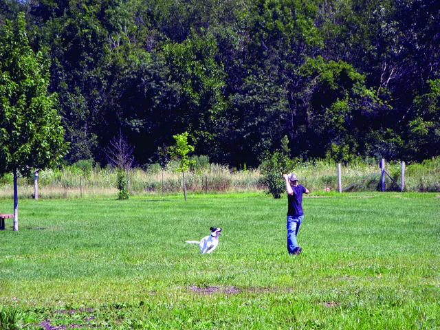 Rover's Run Dog Park (Membership required)