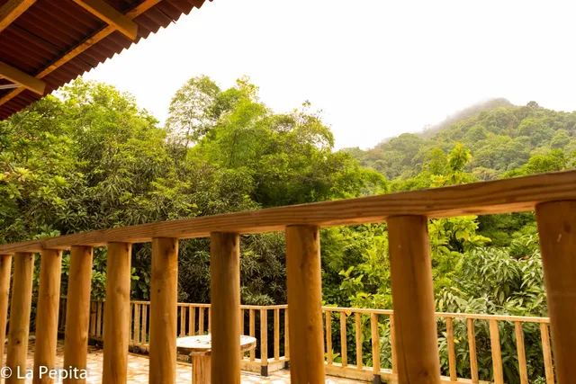 La pepita hostal Minca