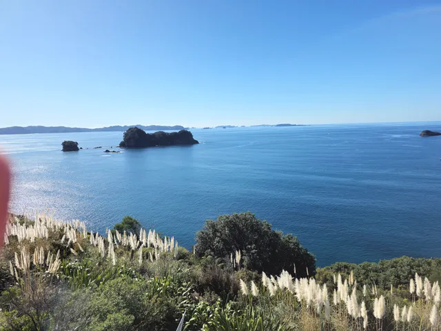 Cathedral Cove Bus waiting area