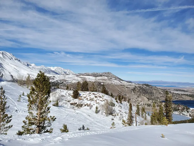 June Mountain Chalet