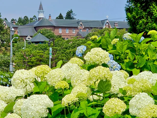 Hakodate City Forest