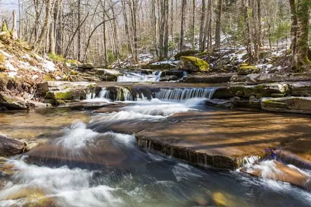 Falling Waters Preserve