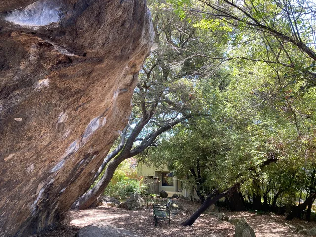 photo-1