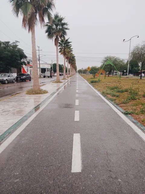 Linea Verde Torreón