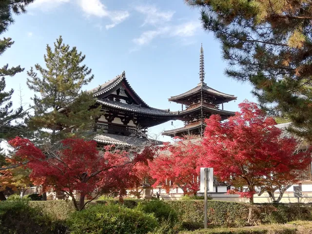photo-2