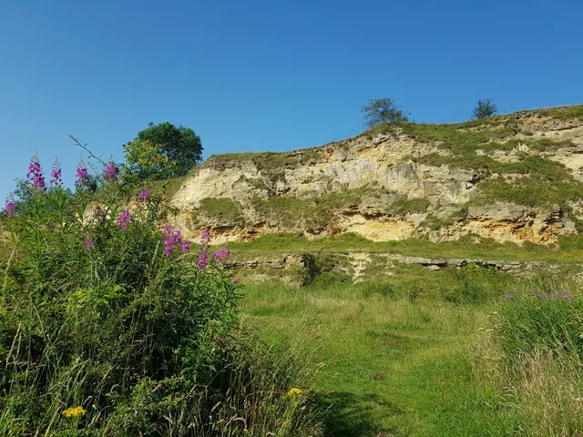 Bishop Middleham Quarry
