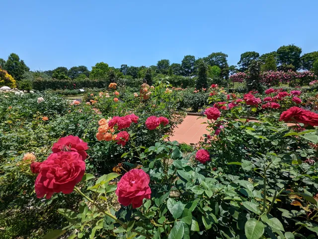Bell Farm English Garden