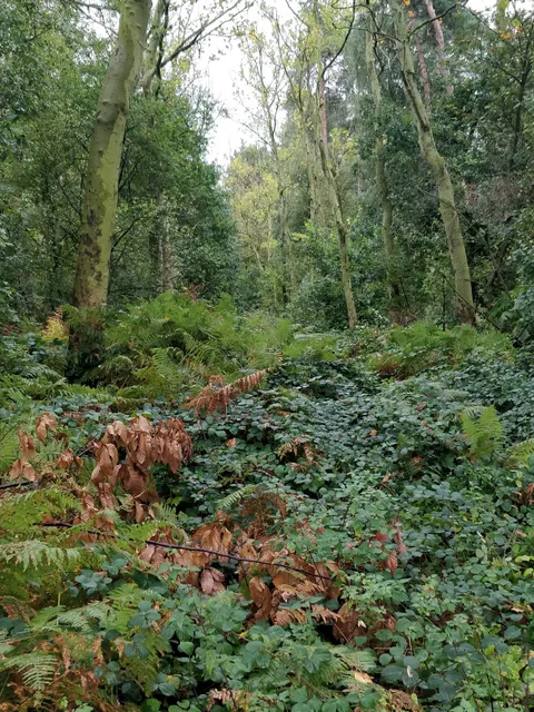 photo-2