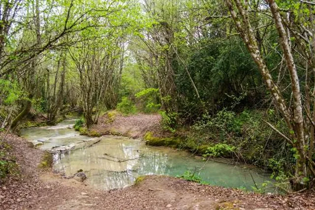 Ruta del agua - Berganzo