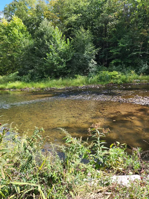 Soaring Eagle Wetland
