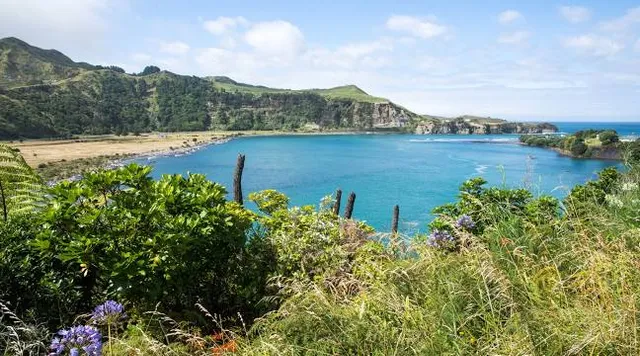 Mokau Museum & Gallery