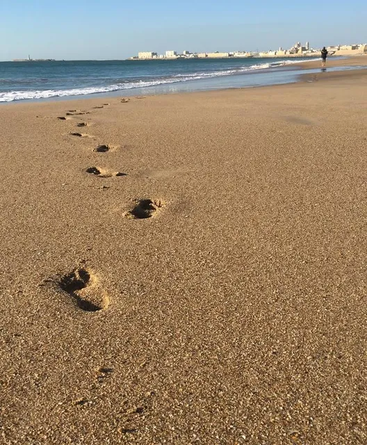 Playa de la Victoria