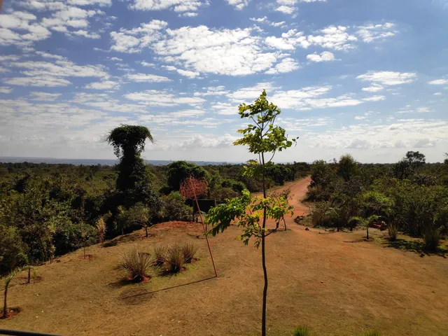 Cerrado Center of Excellence