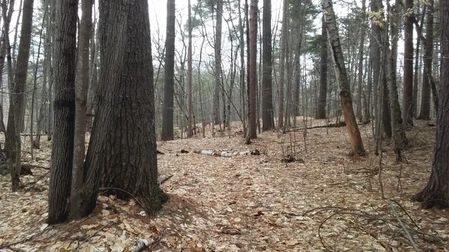 photo-2