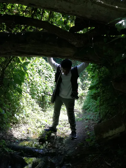 photo-1