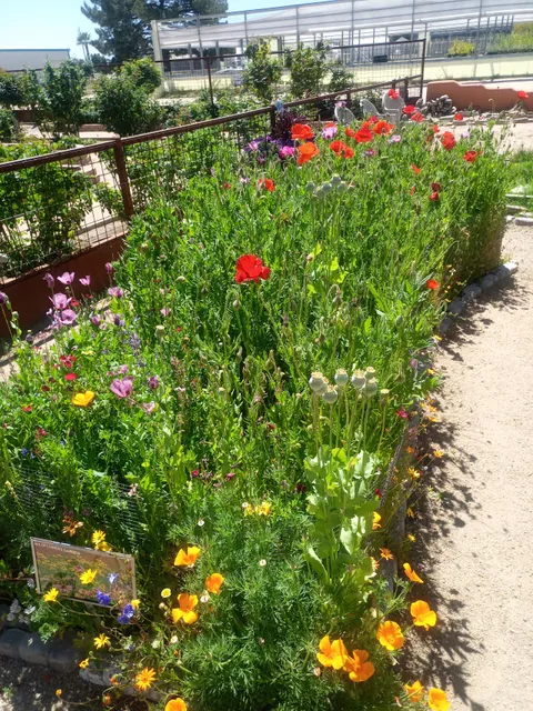 Pima County Master Gardener Demonstration Gardens