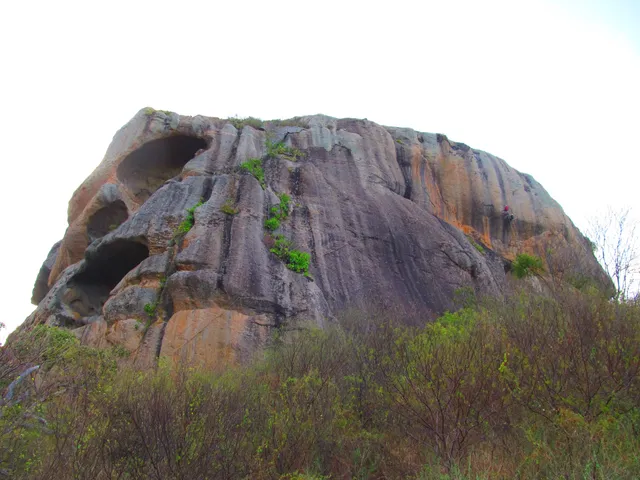 photo-1
