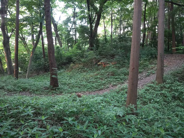 place image