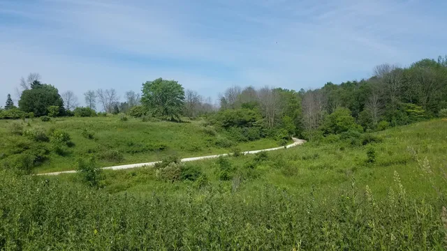 Forest Beach Migratory Preserve