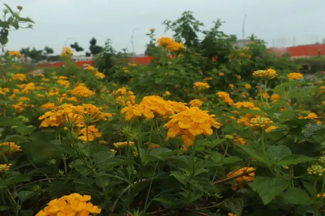 Wilhelm-Foerster-Observatory