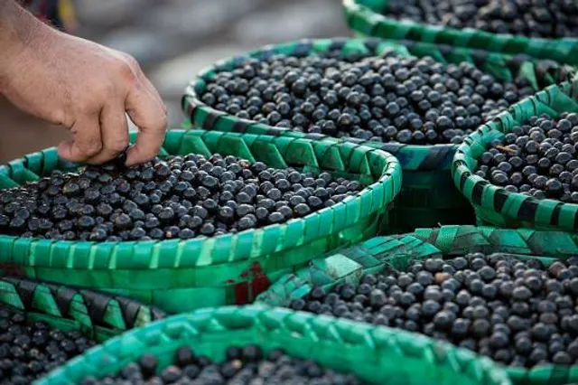 Feira do Açaí - Ver-o-Peso