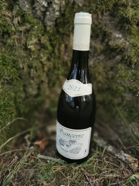 Domaine Tassin (EARL)