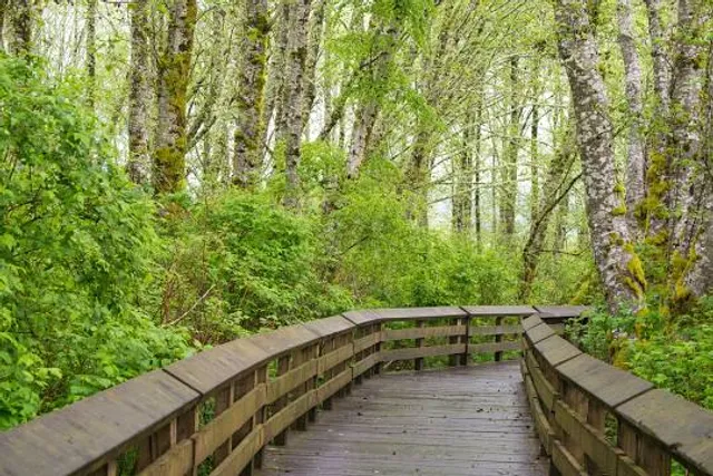 Grays Harbor National Wildlife Refuge
