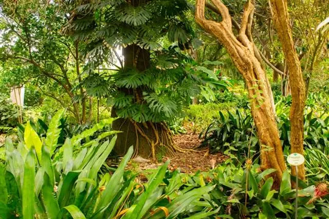 photo-2