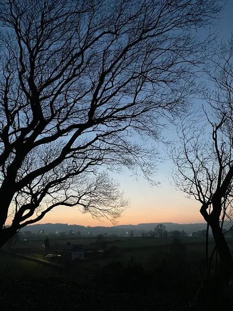 photo-3