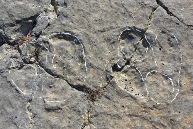 La Era del Peladillo (Huellas de dinosaurio)