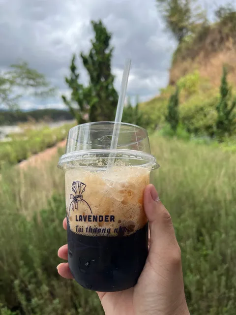 Lavender Túi Thương Nhớ - Đà Lạt