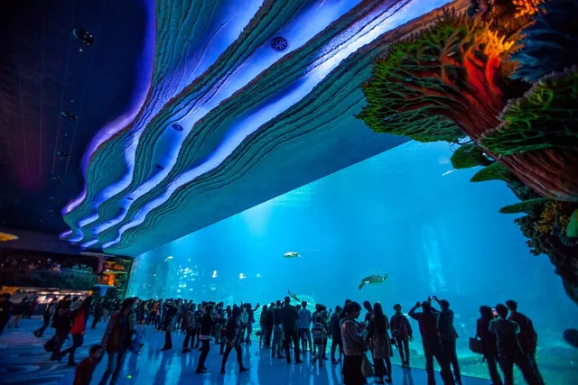 Chimelong Ocean Kingdom