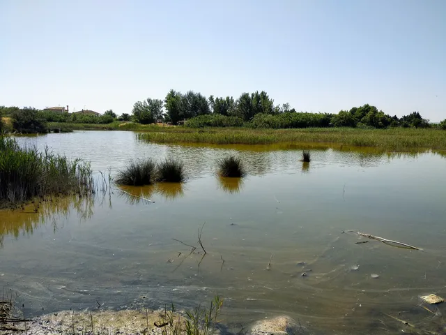 Balsa del Ojo del Cura
