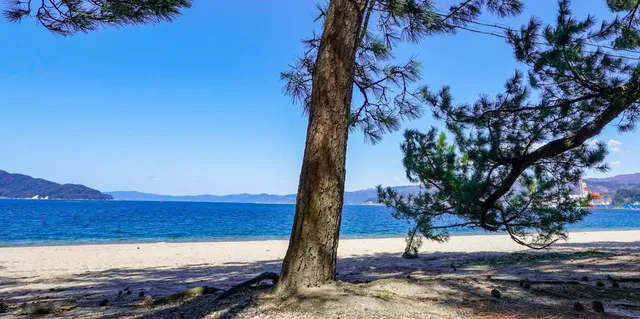 Kehi no Matsubara