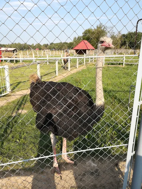 Mahilioŭ Zoological Garden